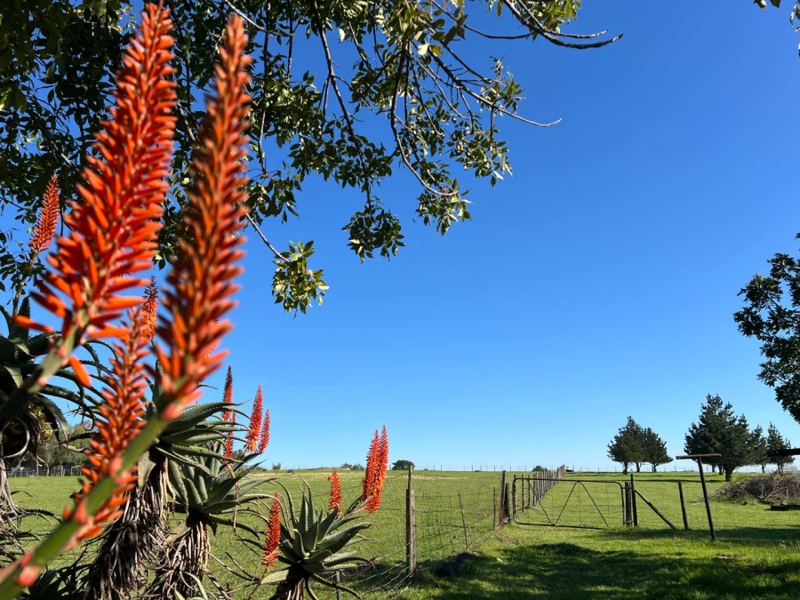 10 Bedroom Property for Sale in Koelenhof Western Cape